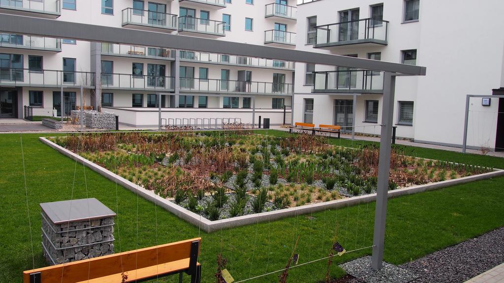 Svoboda Apartament Гданськ Екстер'єр фото